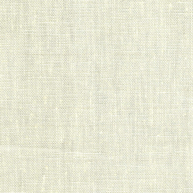 Outlet Desert Sand Dollar