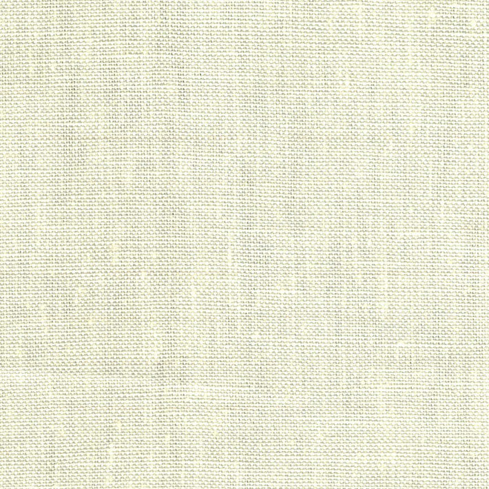 Outlet Desert Sand Dollar